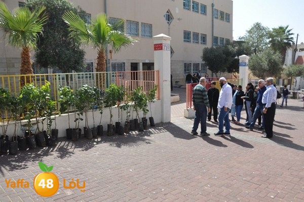 trees shamela 0321 (50).JPG